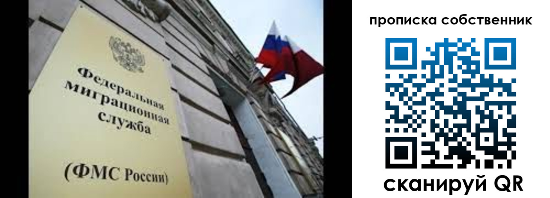 прописка гарантия в Липецкая области
